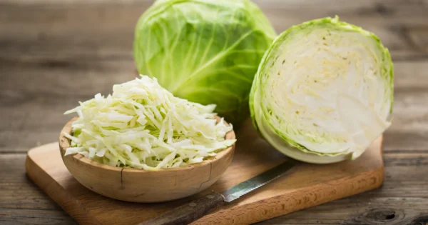 春キャベツの特徴をご紹介！キャベツとの違いは何？