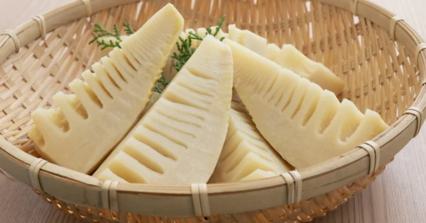 たけのこは春が旬！美味しいたけのこを食べよう